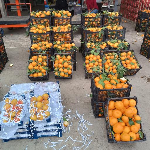 عکس میدان بار 15 خرداد گنبدکاووس