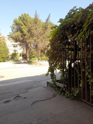 عکس دانشکده فنی شهید صدوقی یزد