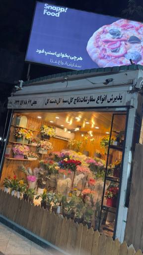 عکس گل آمستردام