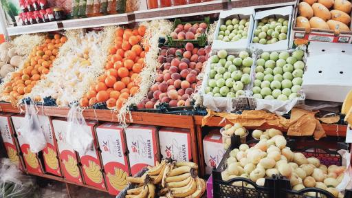 عکس میوه سرای المهدی