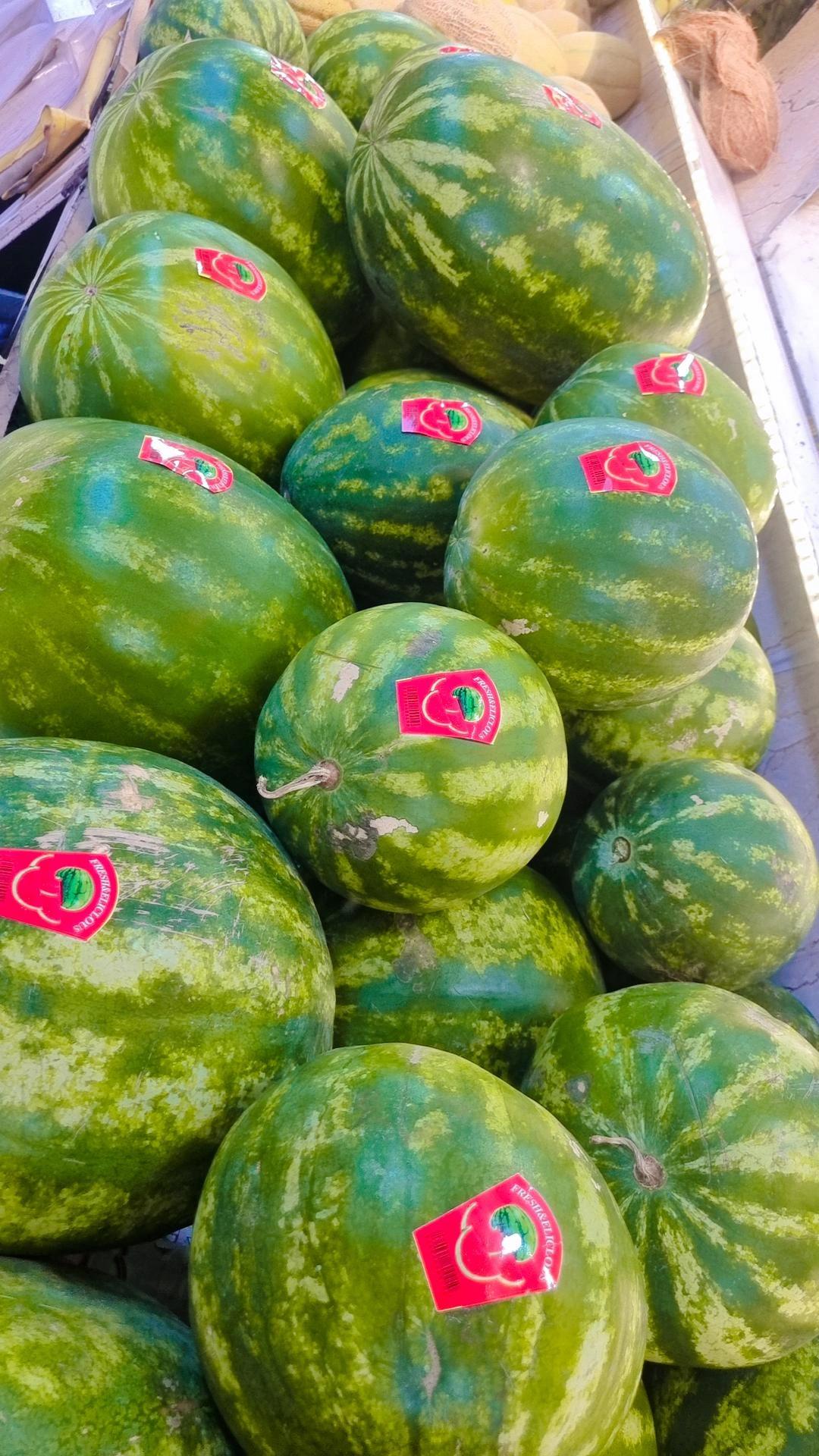 عکس میوه سرای خندوانه