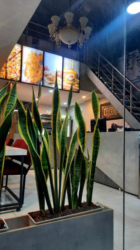 عکس ستاره ۳۱۳ (تنورک سوخاری سابق)