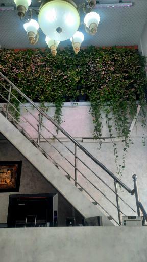 عکس ستاره ۳۱۳ (تنورک سوخاری سابق)