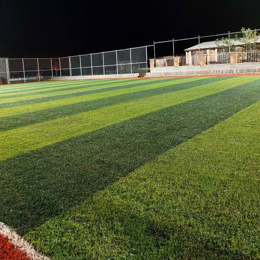 عکس زمین چمن فر