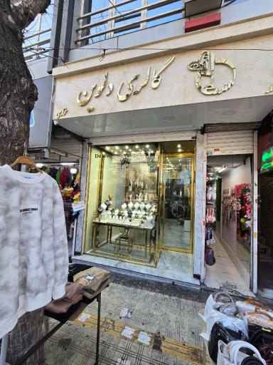 گالری دلوین