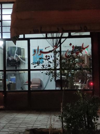 عکس سلمونی جواد