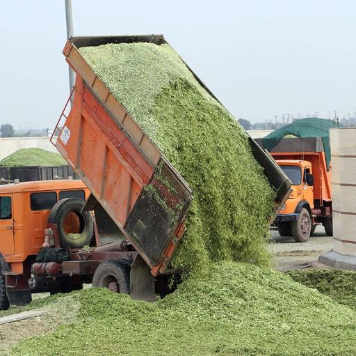 عکس هلدینگ رحمت تجارت