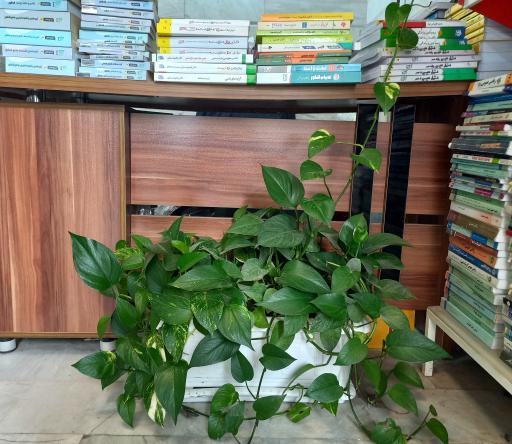 عکس ایستگاه کتاب