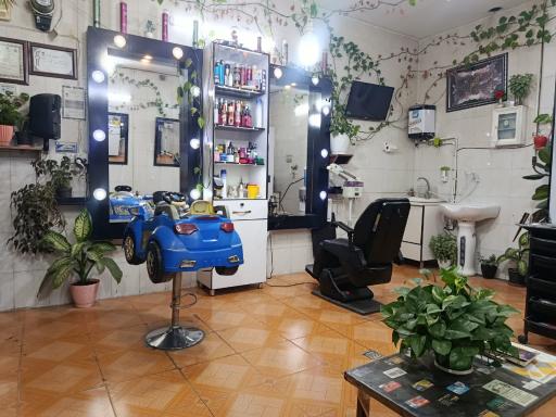 عکس پیرایش آرین