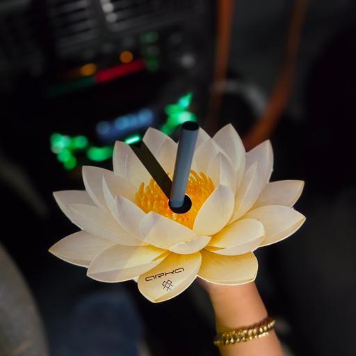 عکس کافه آرکا