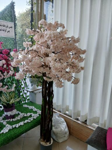 عکس پرده سرای یاس 