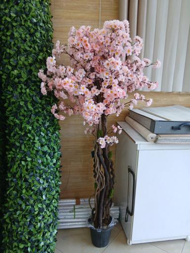 عکس پرده سرای یاس 