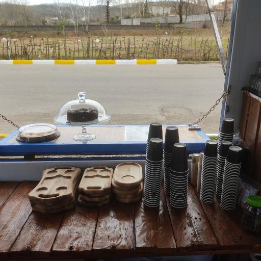 عکس بستنی سرخ کرده لنا خانوم