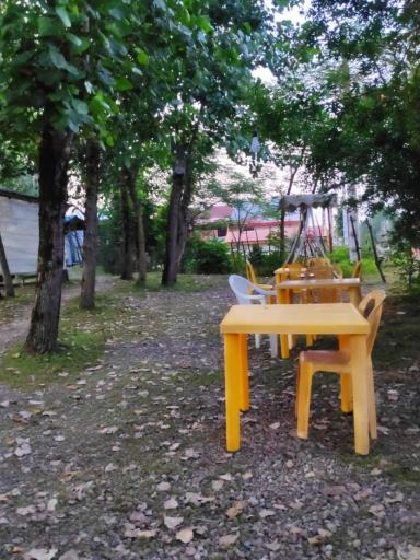 عکس بستنی سرخ کرده لنا خانوم