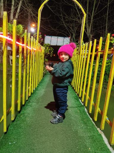 عکس بستنی سرخ کرده لنا خانوم