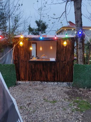 عکس بستنی سرخ کرده لنا خانوم