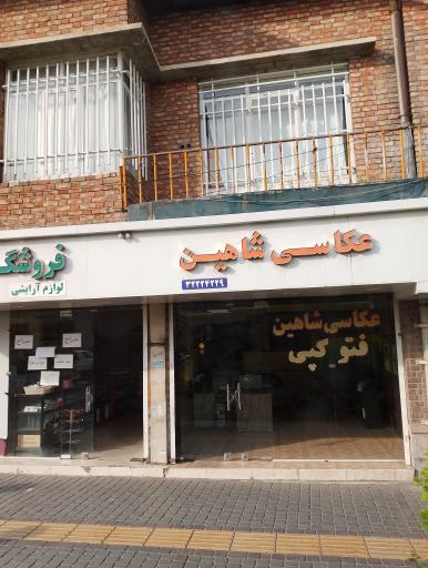 عکس عکاسی شاهین