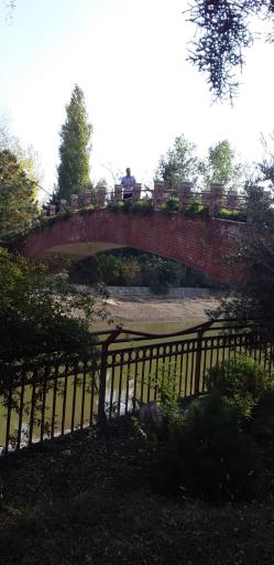 عکس دریاچه پارک جنگلی جهان نما