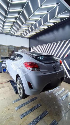 عکس کارشناسی و تشخیص رنگ عباسپور