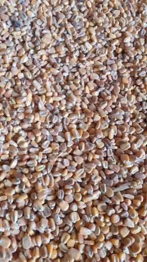 عکس خوراک دام و طیور شعبانی