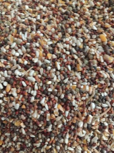 عکس خوراک دام و طیور شعبانی