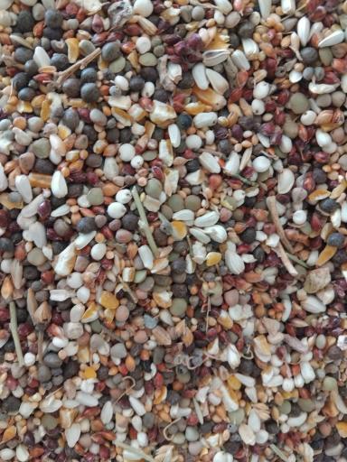 عکس خوراک دام و طیور شعبانی