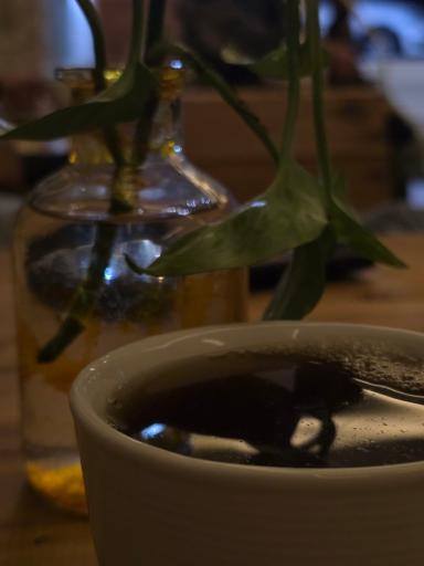 عکس کافه رستوران بهار