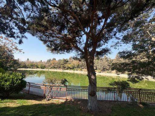 عکس دریاچه پارک جنگلی جهان نما