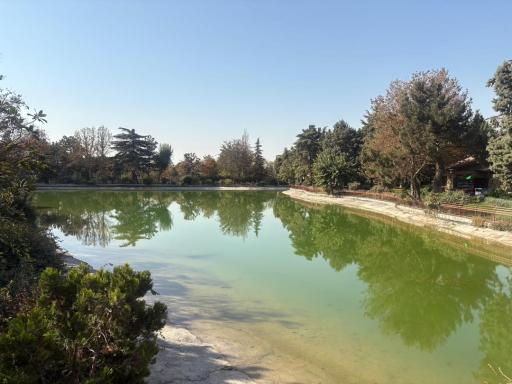 عکس دریاچه پارک جنگلی جهان نما