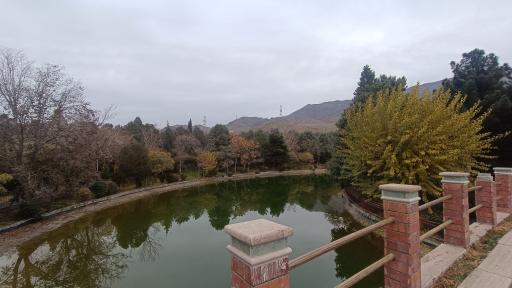 عکس دریاچه پارک جنگلی جهان نما