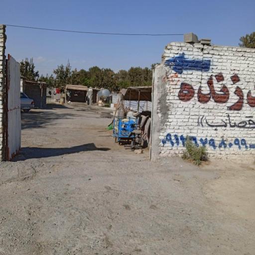 عکس گوسفند زنده باقری