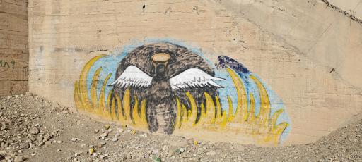 عکس قبرستان سانحه قطار گرمسار