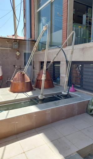 عکس گلاب گیری عطر گل قمصر