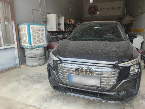 عکس اتو رنگ مدرن موسی