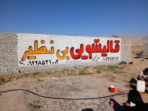 قالیشویی بینظیر