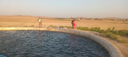 عکس فرمهین