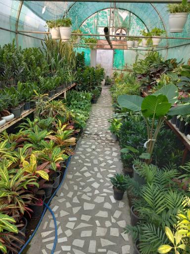 عکس گلخانه بهشت