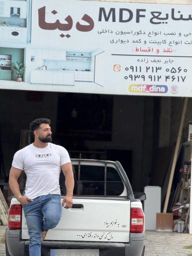 عکس صنایع MDF دینا