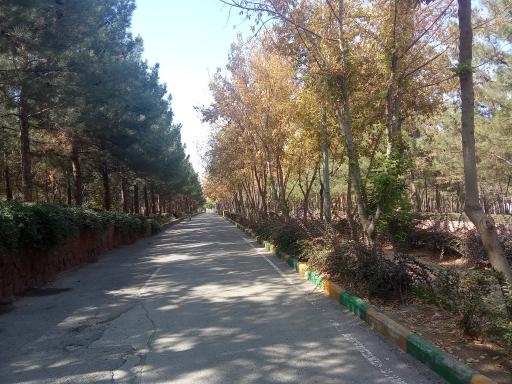 عکس پارک جنگلی ثامن الائمه