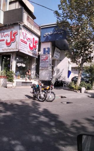 عکس بانک صادرات