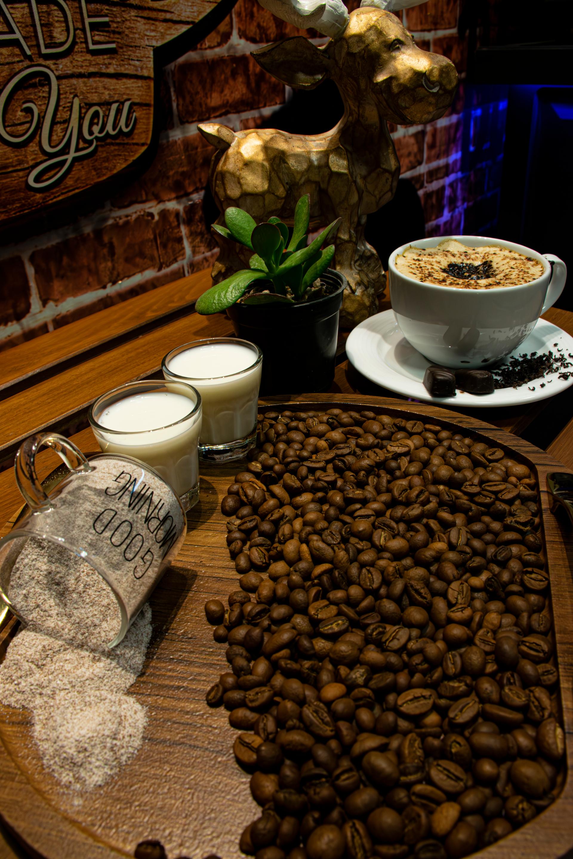 عکس کافه کاریبو