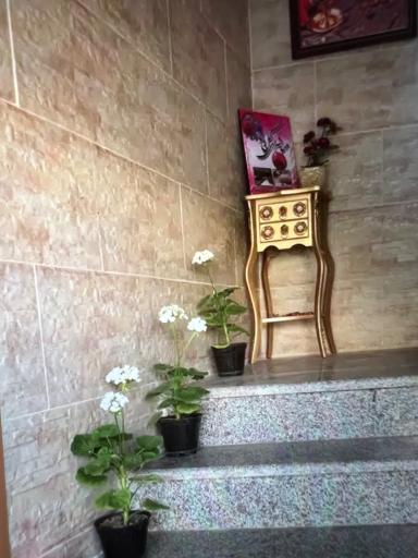 عکس مهمان‌پذیر گلبانو