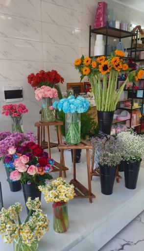 عکس سرای گل آپادانا