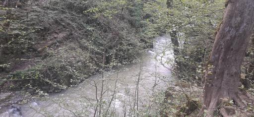 عکس آبشار ویسادار