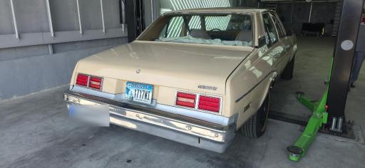 عکس تشخیص رنگ باراد خودرو