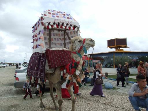 عکس بازارچه گردشگری