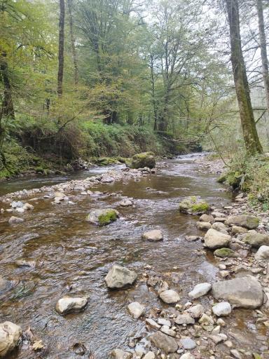 عکس آبشار ویسادار