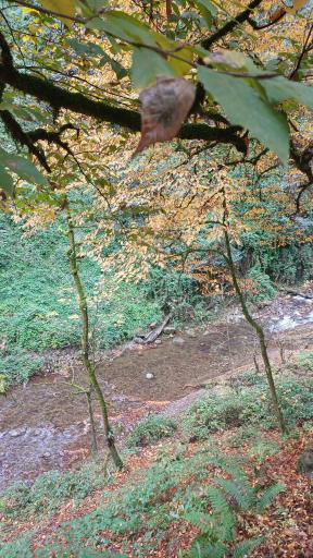 عکس آبشار ویسادار