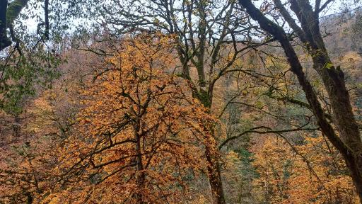 عکس آبشار ویسادار