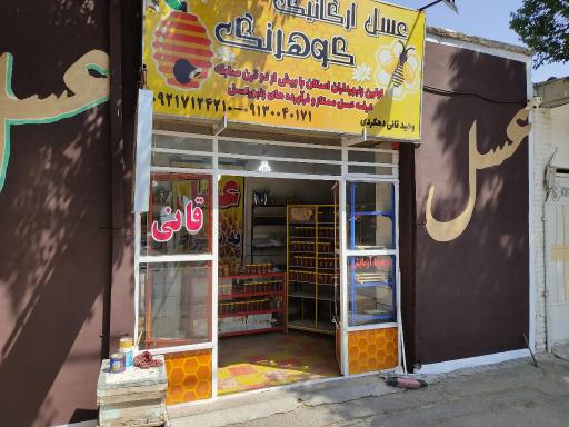 عکس عسل وحید قانی دهکردی 